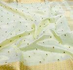 Soft Organza Tissue Saree